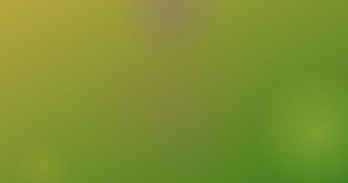 成人黄片在线观看值得吗：决策清单